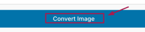 Convert image button guide
