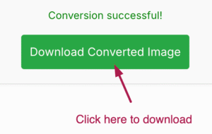 Download converted image button guide