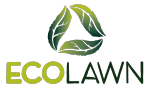 Tanvir WebXprt client logo 2